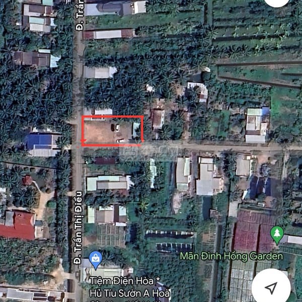 Đất mặt tiền đường Trần Thị Điểu - Phước Thạnh (cách QL1A ~1km) - Đất đai 1