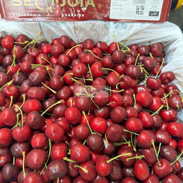 Cherry Mỹ - Thực phẩm 1