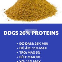 thức ăn DDGS 26% Proteins - Thực phẩm
