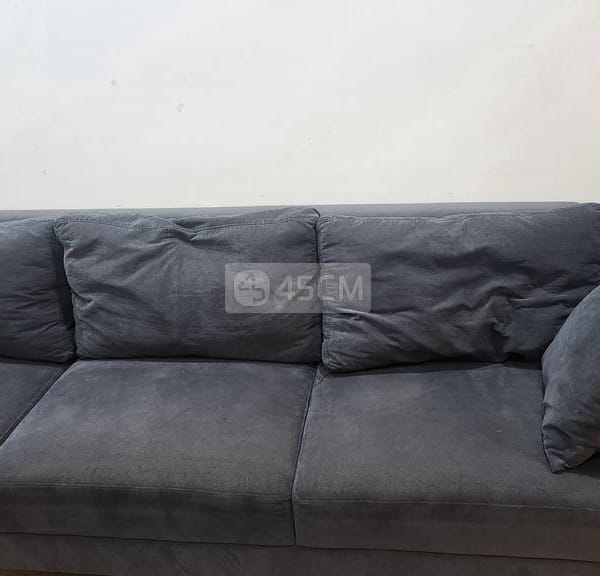 Thanh lí sofa hàng thiết kế đã qua sử dụng - Sofa 0