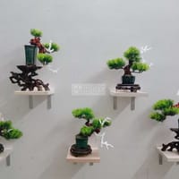 018 bộ 5 cây bonsai mini decor phong cách Nhật Bản - Làm vườn