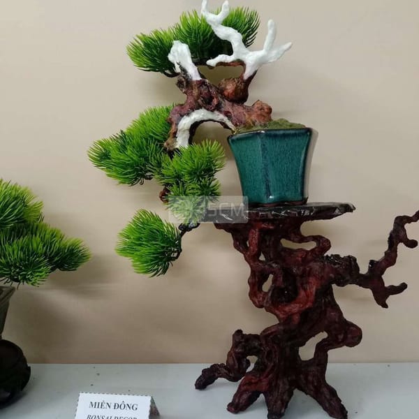 015 cây bonsai mini decor nghệ thuật - Phụ kiện trang trí 4