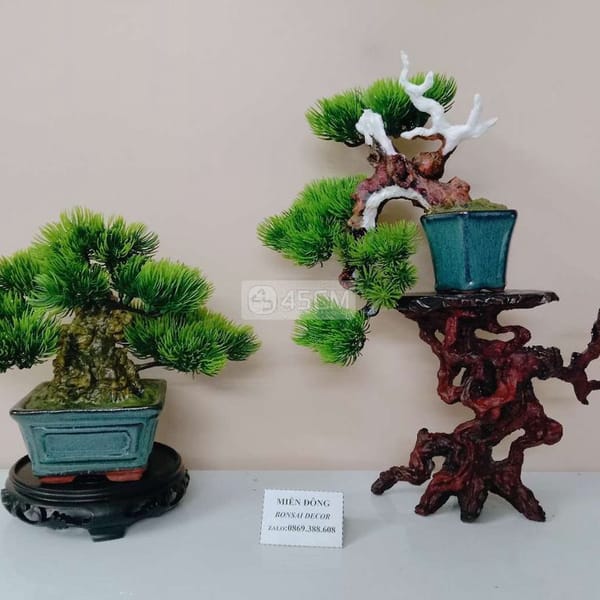 015 cây bonsai mini decor nghệ thuật - Phụ kiện trang trí 0