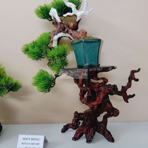 015 cây bonsai mini decor nghệ thuật - Phụ kiện trang trí 1