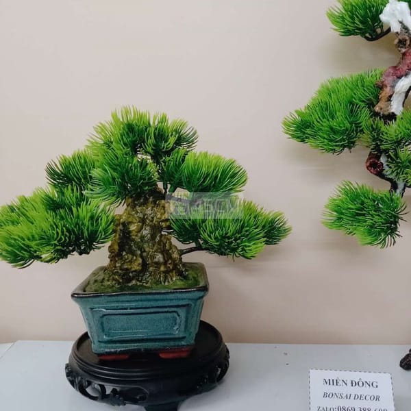 015 cây bonsai mini decor nghệ thuật - Phụ kiện trang trí 2