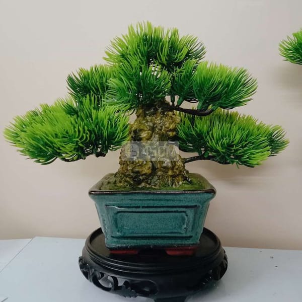 015 cây bonsai mini decor nghệ thuật - Phụ kiện trang trí 3