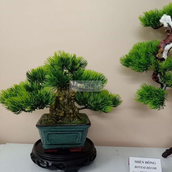 015 cây bonsai mini decor nghệ thuật - Phụ kiện trang trí 5