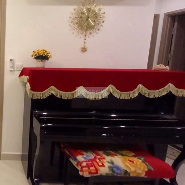Piano cơ - Đàn piano 0