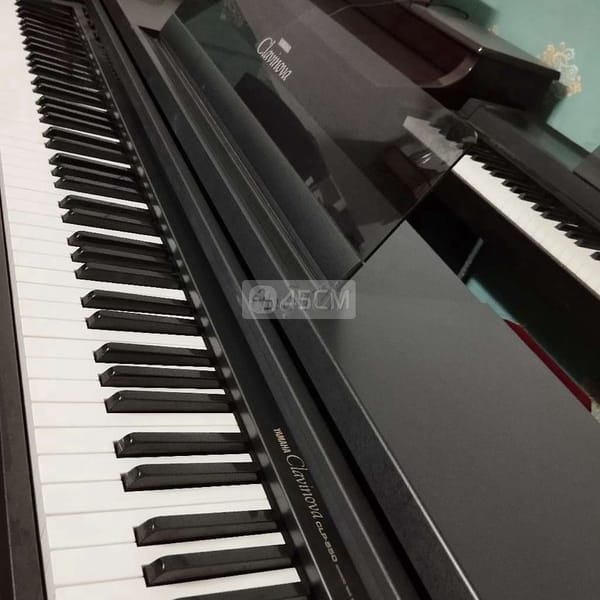Piano YAMAHA CLP550 Nhật - Đàn piano 2
