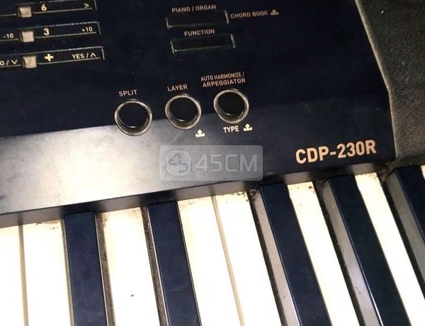 Bán Cây Đàn Piano Điện Casio CDP-230R Còn Sống. - Đàn piano 2