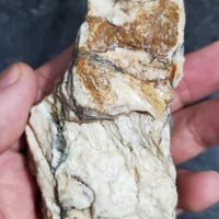 Gỗ hóa thạch - Sở thích khác