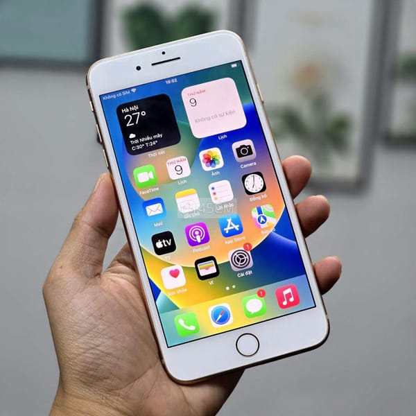 iPhone 8 Plus Quốc Tế - Iphone 8 Series 2