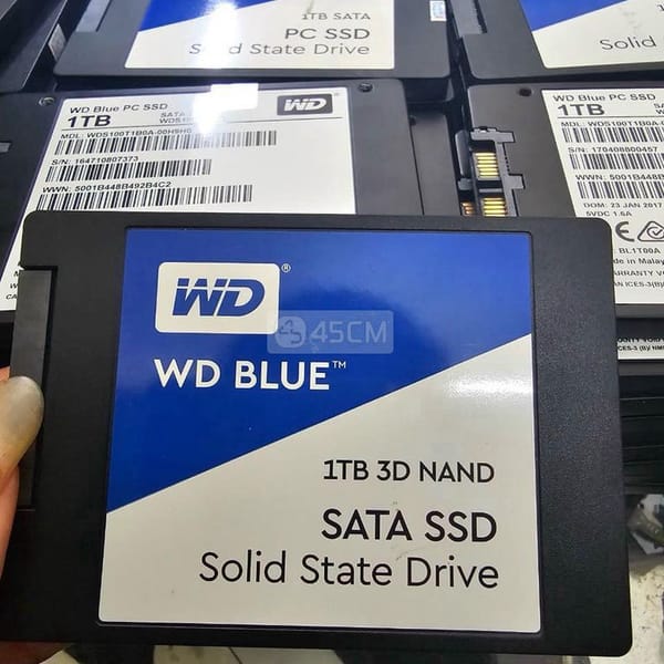 SSD 1TB WD Blue sk 100% - Máy tính 3