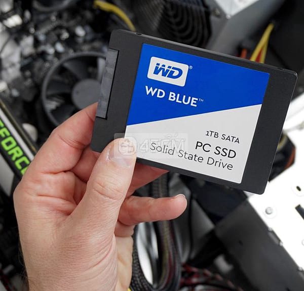 SSD 1TB WD Blue sk 100% - Máy tính 0