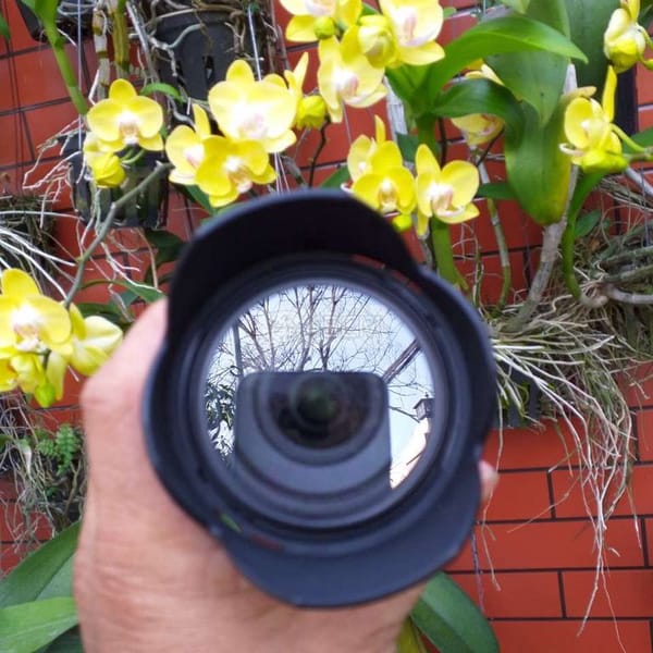 Lens Tamron 18/270 VR - Ống kính máy ảnh 2