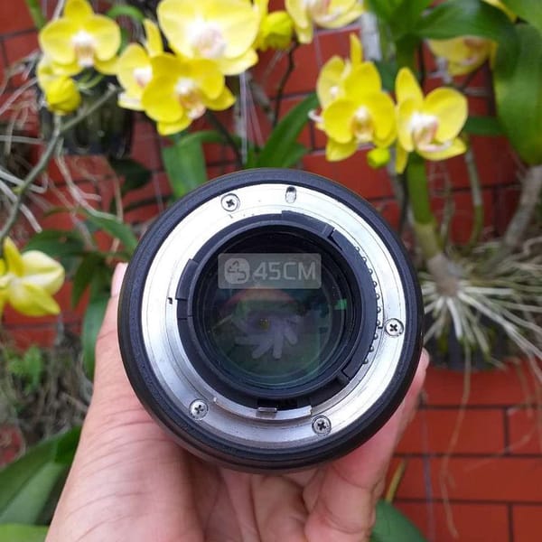 Lens Nikon 24/70 F2.8 Nano - Ống kính máy ảnh 3