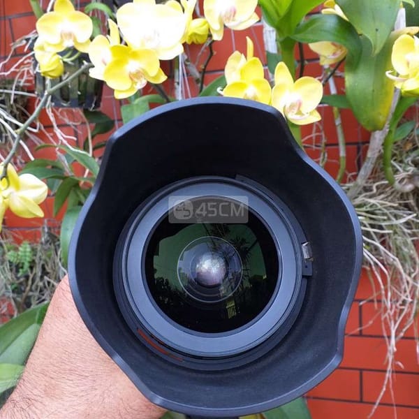 Lens Nikon 24/70 F2.8 Nano - Ống kính máy ảnh 2