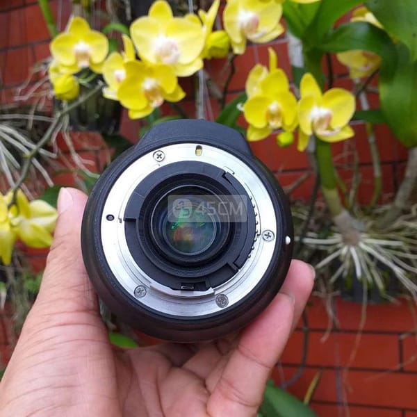 Lens Nikon 24/85 VR - Ống kính máy ảnh 3