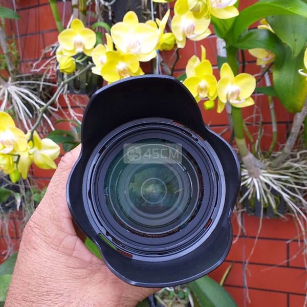 Lens Nikon 24/85 VR - Ống kính máy ảnh 2