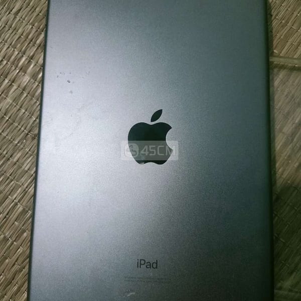 Ipad mini5 4g - iPad Mini Series 1