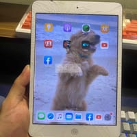 Ipad mini 2 16GB - iPad Mini Series