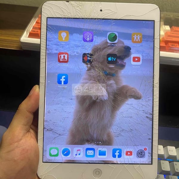 Ipad mini 2 16GB - iPad Mini Series 0