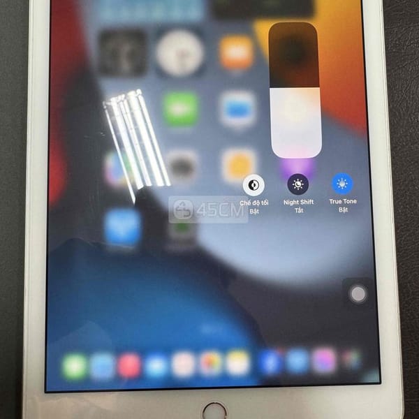 ipad pro 9.7 4G - iPad Pro Series 5