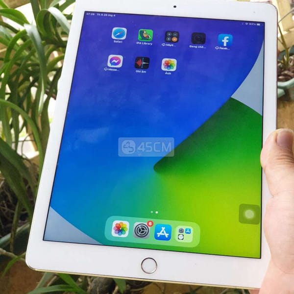 Cần bán ipad đang dùng ok hết - iPad Air Series 0