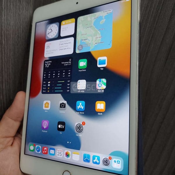 Ipad Mini 4 - iPad Mini Series 5