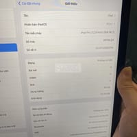Ipad Pro 13" 2017 64g bản 4g đẹp 99% - iPad Pro Series