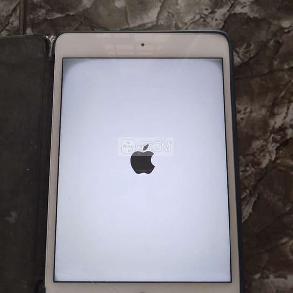 Ipad mini 4 zin full 32g có 4g, icl sạch vân nhạy - iPad Mini Series 1