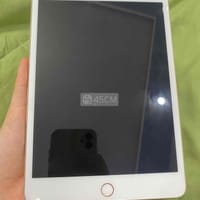 Cần bán iPad Mini 4 16GB Vàng Hồng - iPad Mini Series