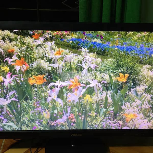 Asus 24 inch full HD đẹp keng, bảo hành 1 tháng - Màn hình 2