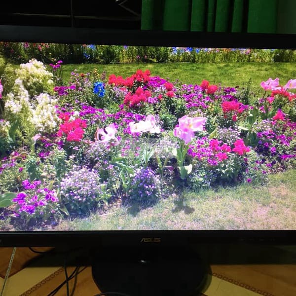 Asus 24 inch full HD đẹp keng, bảo hành 1 tháng - Màn hình 3