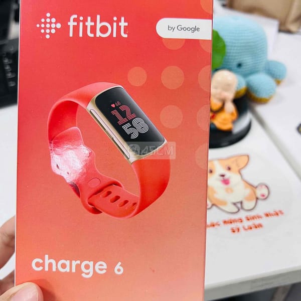 Fitbit Charge 6 Vòng tay theo dõi sức khỏe Fitbit - Fitbit 0