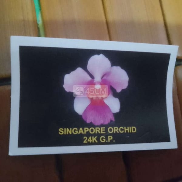 Singapore orchid 24k G.P - Phụ kiện khác 1