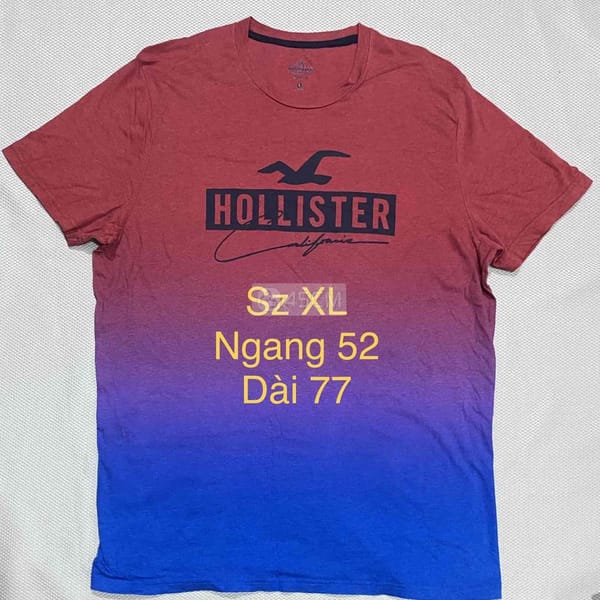 Áo thun hiệu Hollister sz XL - Thời trang 0