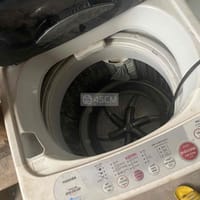 Máy giặt Toshiba 7,5Kg đabg dùng - Máy giặt
