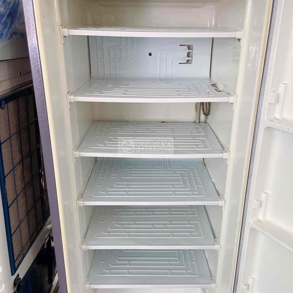 Tủ đông Đứng 200L - Tủ lạnh 3