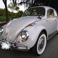 Xe con Bọ cổ Volkwagens cần bán - VOLKSWAGEN Beetle