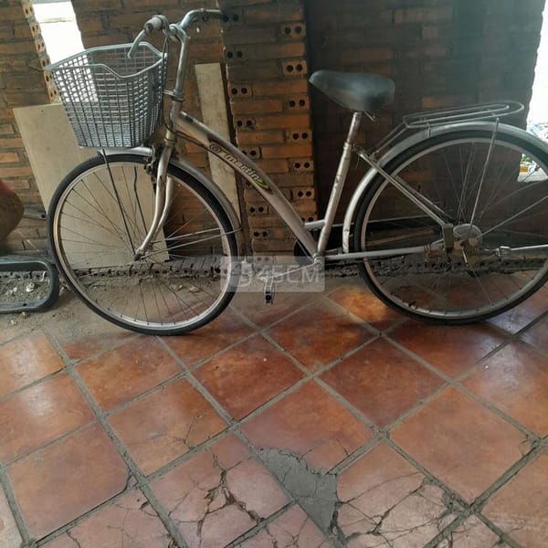 Bán xe đạp Martin như hình còn sử dụng - Xe đạp 0
