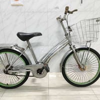 Xe đạp inox 20 inch NT3489 - Xe đạp