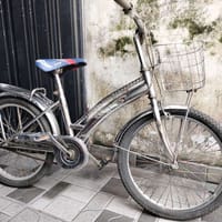Xe đạp inox 20 inch xe đẹp cho bé 6-12 tuổi - Xe đạp