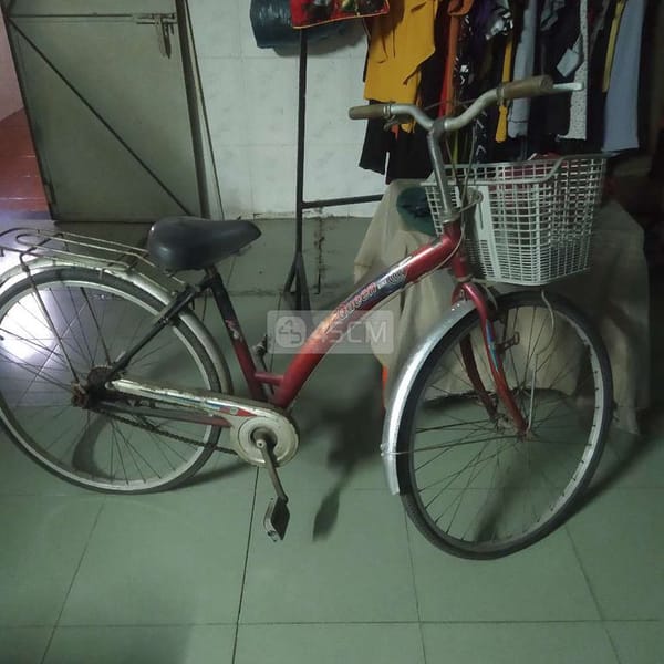 Xe đạp người lớn - Xe đạp 1