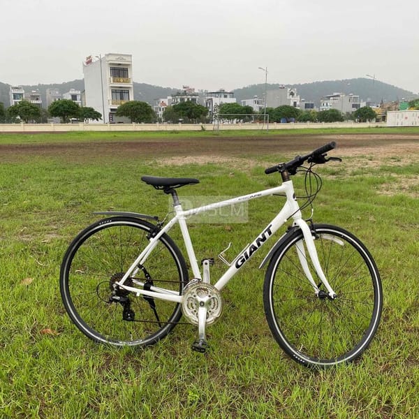 bán xe đạp Giant nội địa nhật bản - Xe đạp 4