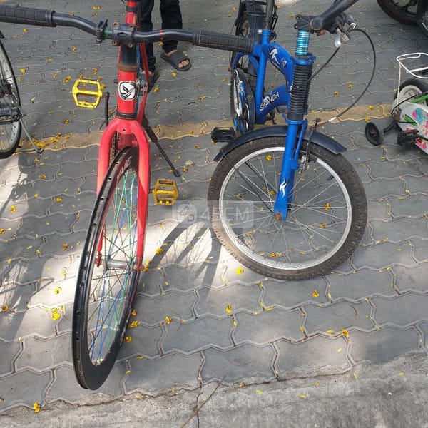 Bán 2 con xe đạp như hình - Xe đạp 2