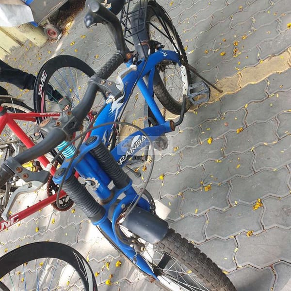 Bán 2 con xe đạp như hình - Xe đạp 1
