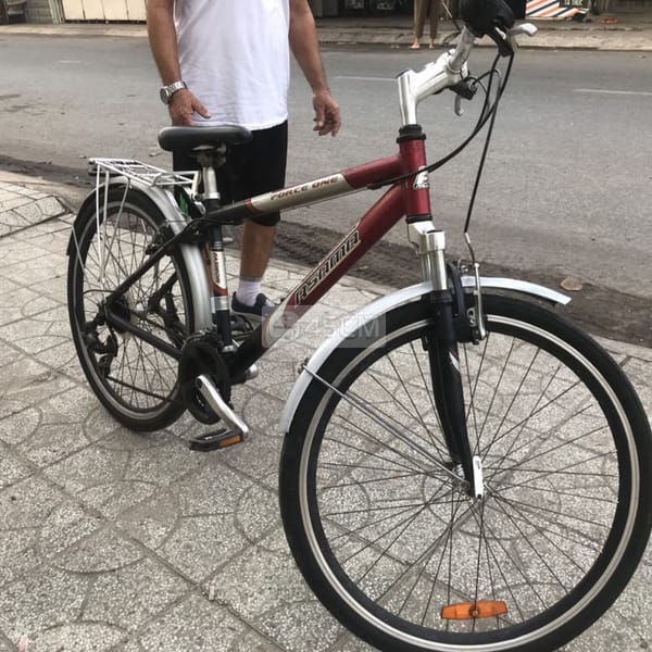 XE ĐẠP ASAMA - Xe đạp 1