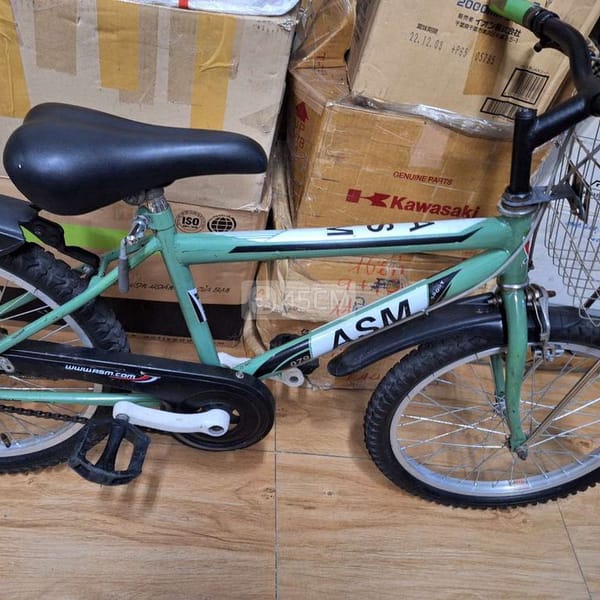 Xe đạp 20 inch màu xanh lá - Xe đạp 2