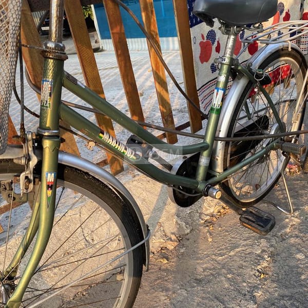 xe đạp martin zin - Xe đạp 1